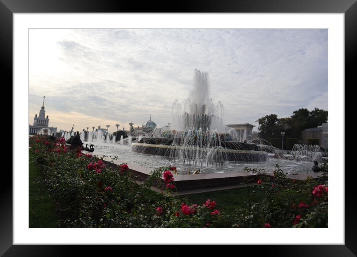 Beautiful stone flower fountain. Exhibition of national economy achievements, pavilions, fountains and a beautiful Park. Framed Mounted Print by Karina Osipova