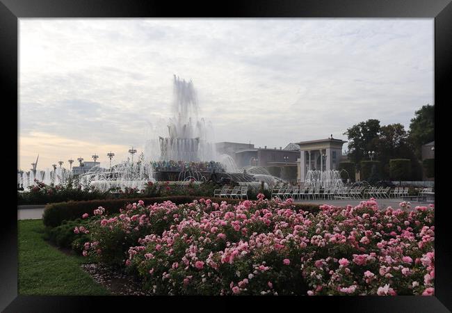 Beautiful stone flower fountain.  Framed Print by Karina Osipova