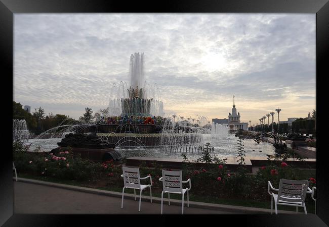 Beautiful stone flower fountain. Exhibition of national economy achievements, pavilions, fountains and a beautiful Park. Framed Print by Karina Osipova