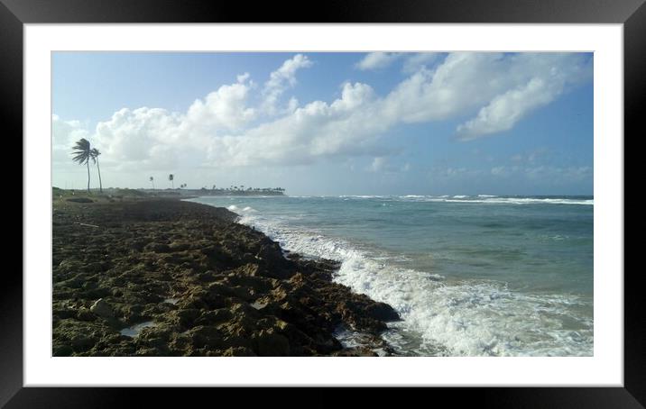 Beautiful seascape, nature of the Dominican Republic Framed Mounted Print by Karina Osipova