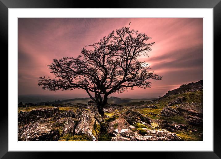 Winter Tree Norber Erratics Framed Mounted Print by Roger Foulkes