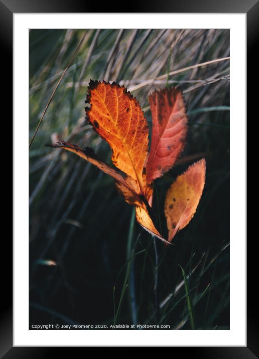 Standing Out Framed Mounted Print by Joey Palomeno