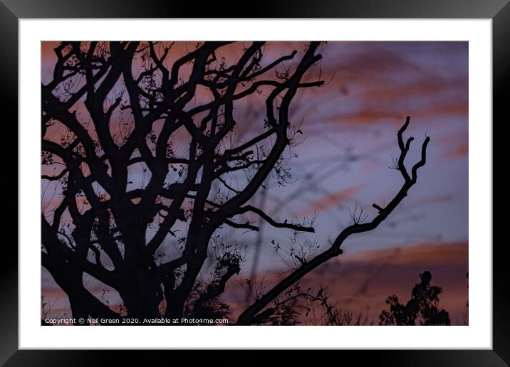 Bare Framed Mounted Print by Neil James