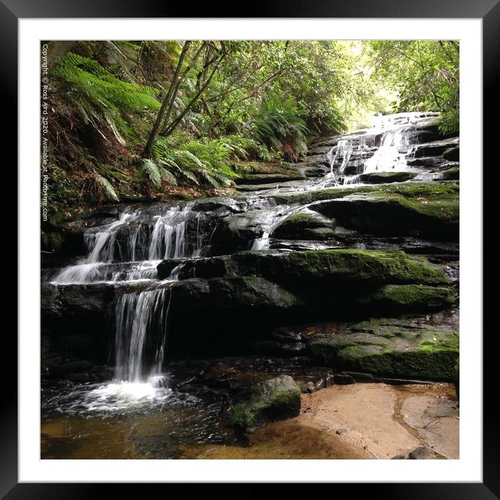 Blue Mountains, NSW Waterfall Framed Mounted Print by Ross Aird