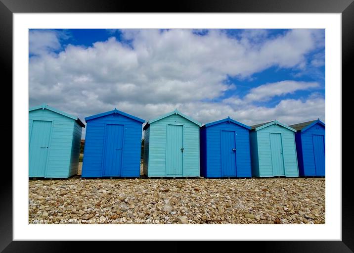 Beach Huts Charmouth Framed Mounted Print by Sheila Ramsey