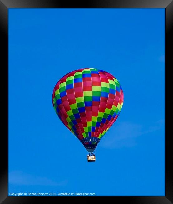 Balloon Ride Framed Print by Sheila Ramsey