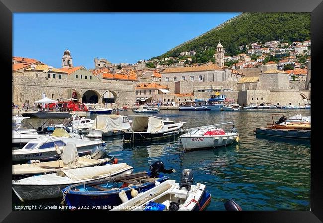 The Harbour Dubrovnik Framed Print by Sheila Ramsey