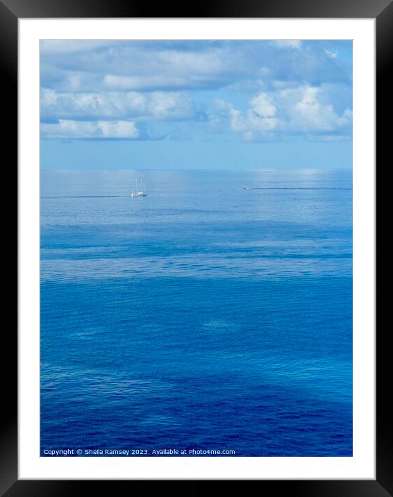 Simply Blue Framed Mounted Print by Sheila Ramsey