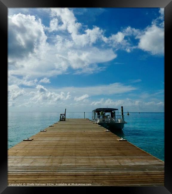 Jetty Grand Turk Framed Print by Sheila Ramsey