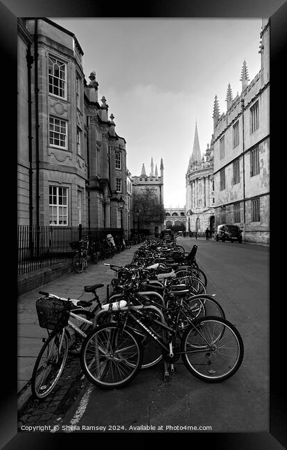 The Bicycles  Of Oxford Framed Print by Sheila Ramsey
