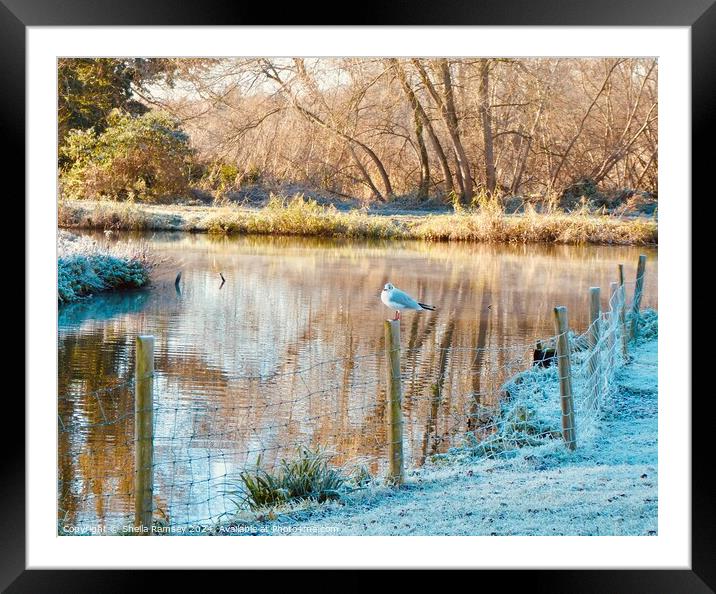 A Cold Morning by The River Framed Mounted Print by Sheila Ramsey