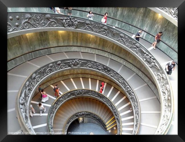 The Spiral Staircase Vatican Museum Rome Framed Print by Sheila Ramsey