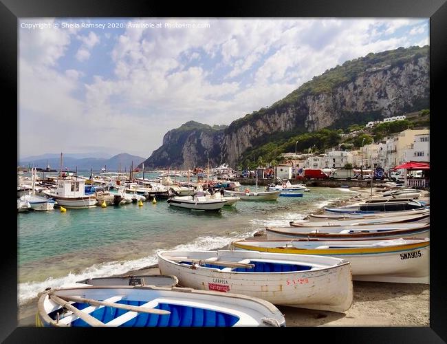 The harbour Capri  Framed Print by Sheila Ramsey
