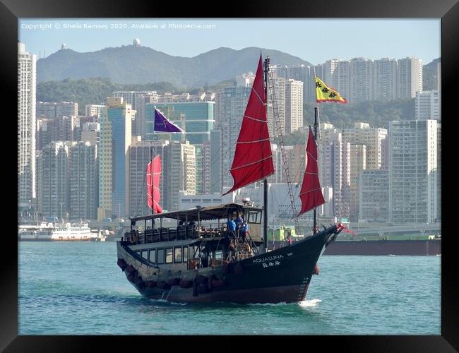 Junk boat Hong Kong harbour Framed Print by Sheila Ramsey