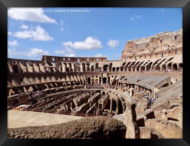 Inside the Colosseum Rome Framed Print by Sheila Ramsey