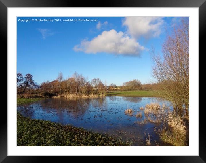 The water meadow Taunton Framed Mounted Print by Sheila Ramsey