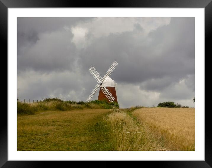 Halnaker Windmill, Chichester Framed Mounted Print by Susan Harrison