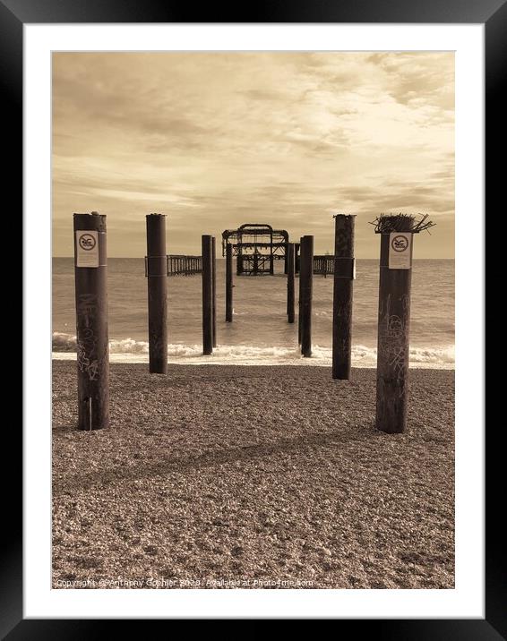 Brighton Beach Framed Mounted Print by Anthony Goehler