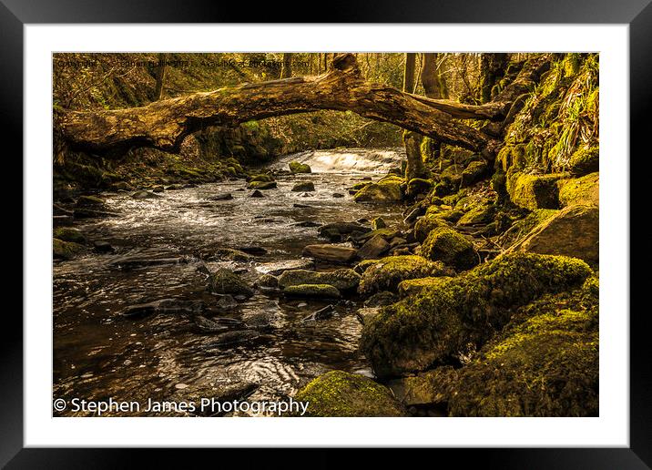 Majestic Waterfall in Rivelin Valley Framed Mounted Print by Stephen Hollin