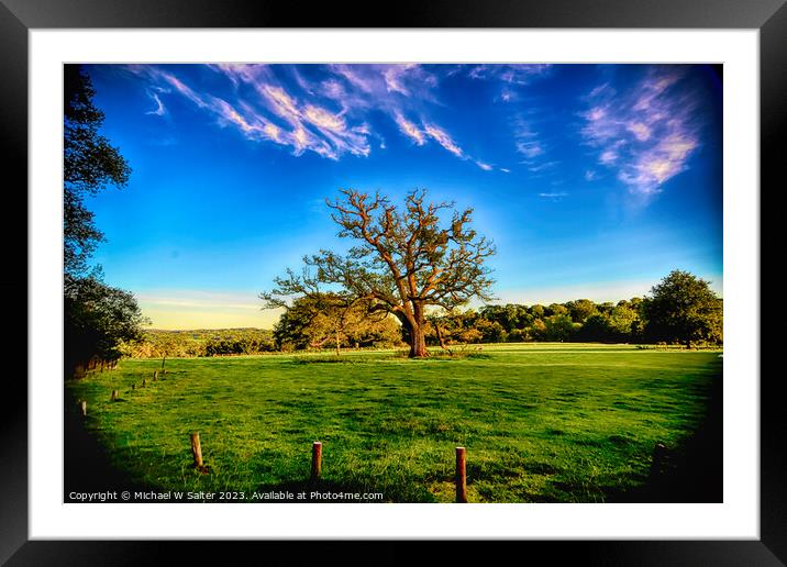 Outdoor field Framed Mounted Print by Michael W Salter