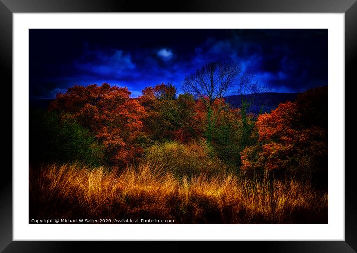 Autumn By Moonlight Framed Mounted Print by Michael W Salter