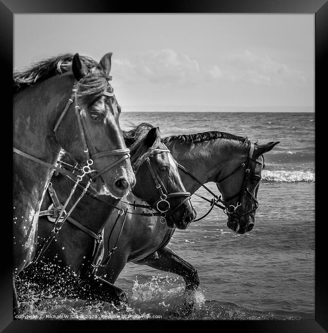 Horses on Three Cliffs Bay Framed Print by Michael W Salter