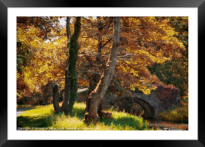 Autumn In South Wales Framed Mounted Print by Michael W Salter