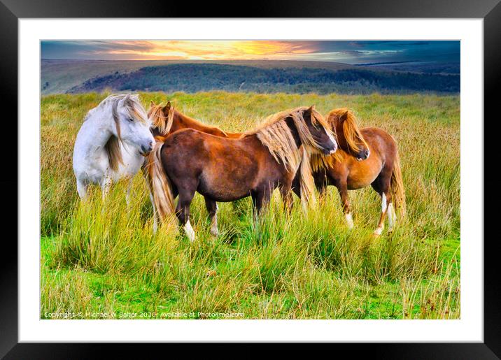 Wild Horses on The Brecon Beacons at Sunset Framed Mounted Print by Michael W Salter