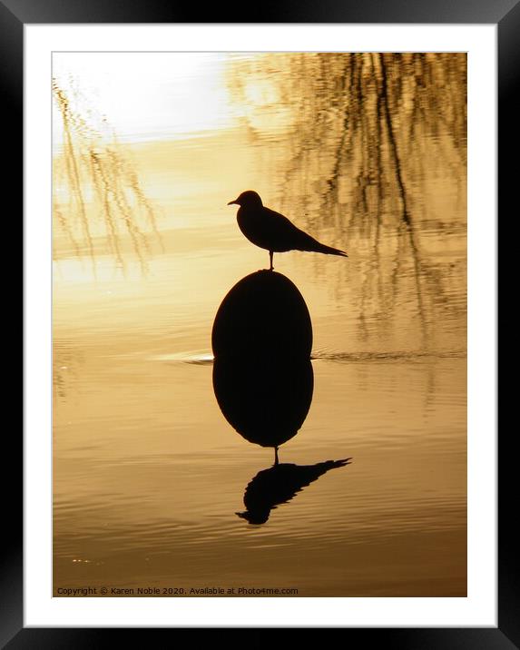 Buoy and Gull silhouette on the river Tarn in Fran Framed Mounted Print by Karen Noble