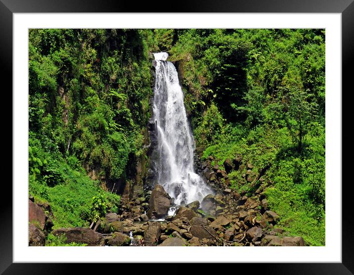 Trafalgar falls waterfall in Dominica, a tiny unsp Framed Mounted Print by Karen Noble