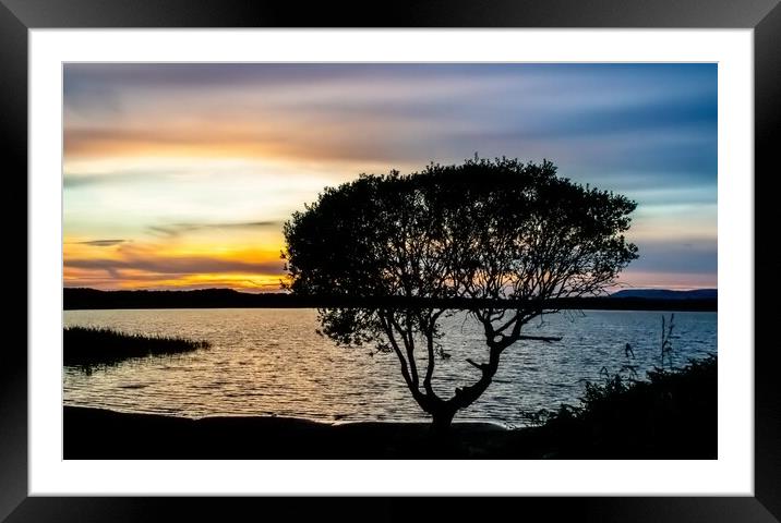 The Lone Tree, Kenfig Framed Mounted Print by Rhodri Phillips