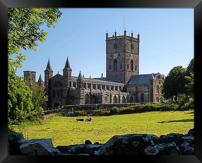ST.David's Cathedral Framed Print by Rhodri Phillips