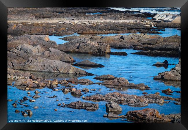 Rocks, Green Point, Cape Town, South Africa  Framed Print by Rika Hodgson