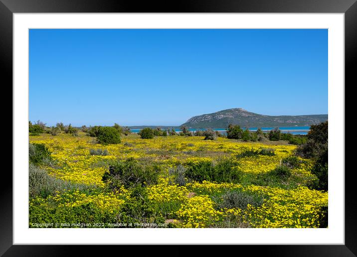 West coast National Park, South Africa, landscape Framed Mounted Print by Rika Hodgson