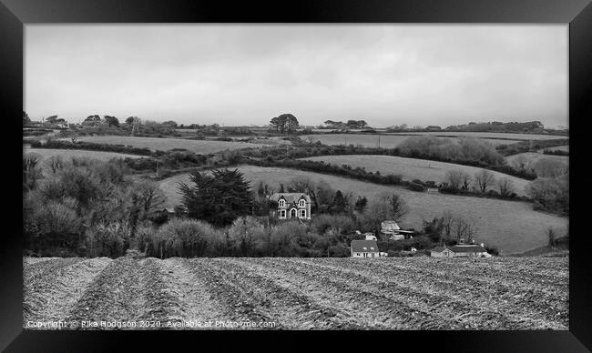 Cornish Farms, Angarrack Framed Print by Rika Hodgson
