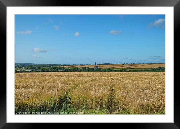 Wheat Fields, Goldsithney, West Cornwall Framed Mounted Print by Rika Hodgson