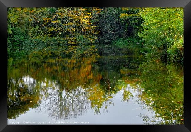 Reflection in Pond, Hayle, Cornwall Framed Print by Rika Hodgson