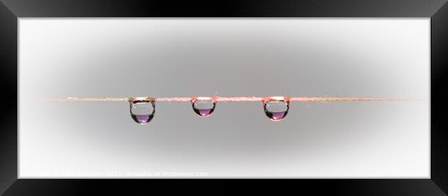 Three waterdrops on a string, Close up Framed Print by Rika Hodgson