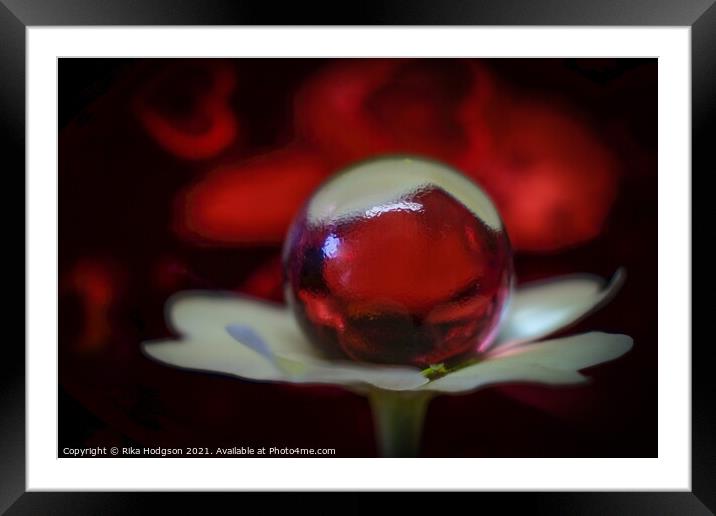 Tiny Glass Ball on Flower, Close Up Framed Mounted Print by Rika Hodgson