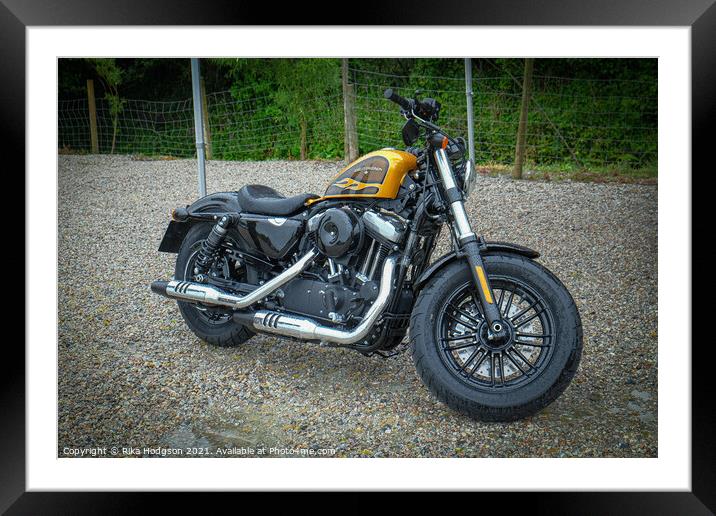Harley Sportster 48 Special Framed Mounted Print by Rika Hodgson