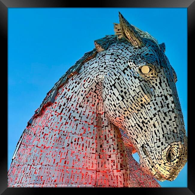 The Kelpies, Falkirk  Framed Print by David Bennett