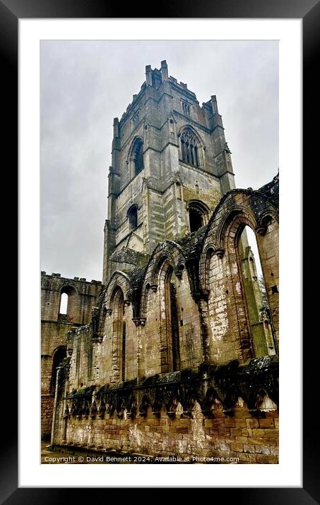 Fountains Abbey Yorkshire Framed Mounted Print by David Bennett