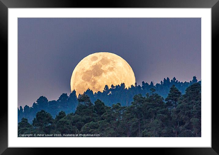 Full Moon Rising Framed Mounted Print by Peter Louer