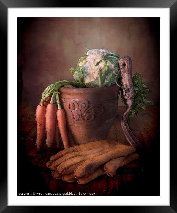 Vegetables and Plant pot  Framed Mounted Print by Helen Jones