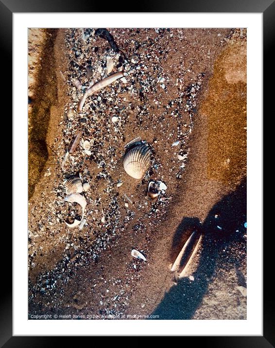 Shell Fragments in Sand  Framed Mounted Print by Helen Jones