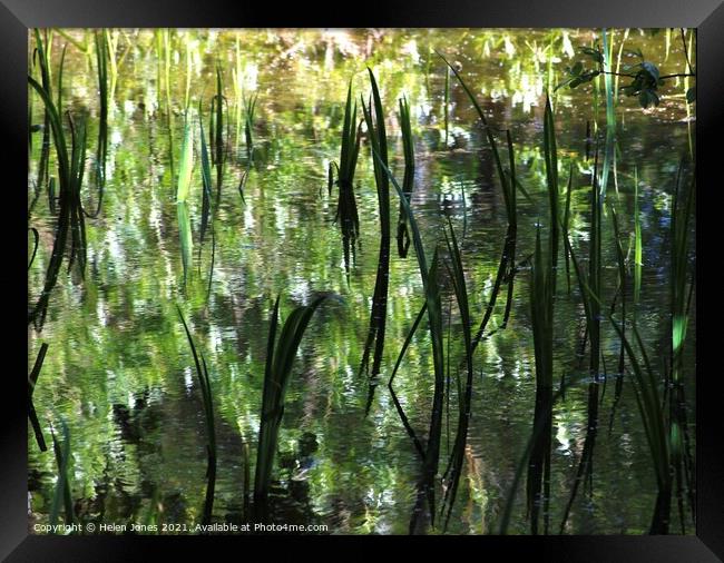 Reflections of foliage upon a wild pond Framed Print by Helen Jones