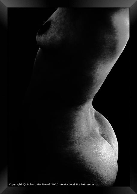 Abstract female nude torso in monochrome Framed Print by Robert MacDowall