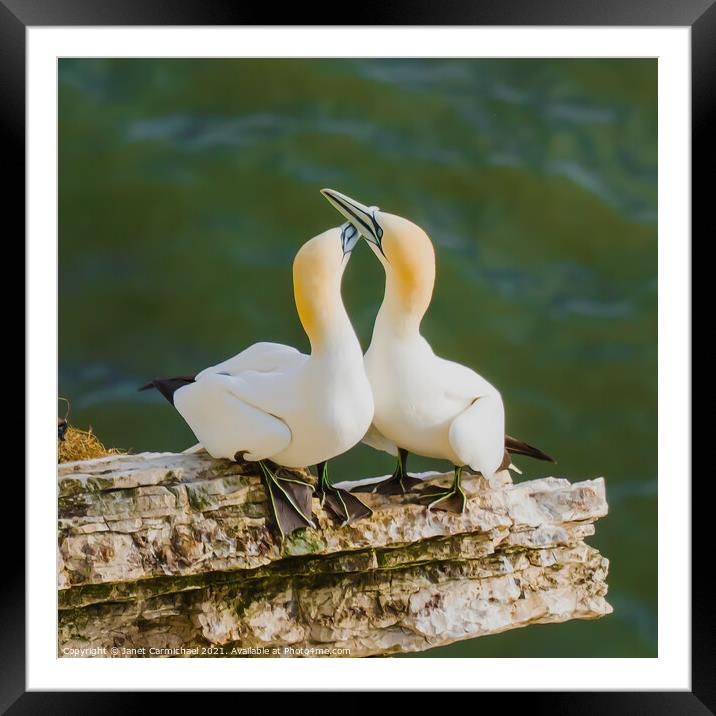 Graceful Romance Framed Mounted Print by Janet Carmichael