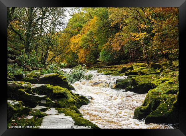 The Dramatic and Dangerous Strid Rapids Framed Print by Janet Carmichael