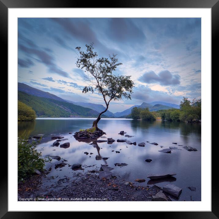 A Tranquil Moment at the Lone Tree Framed Mounted Print by Janet Carmichael